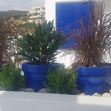 Residential Oasis 25 * מוחקאר