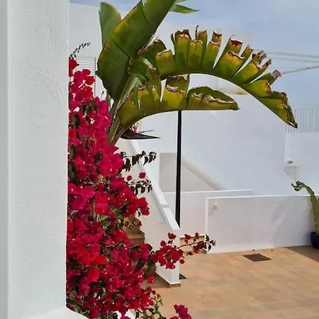 Residential Oasis 25 Appartement *